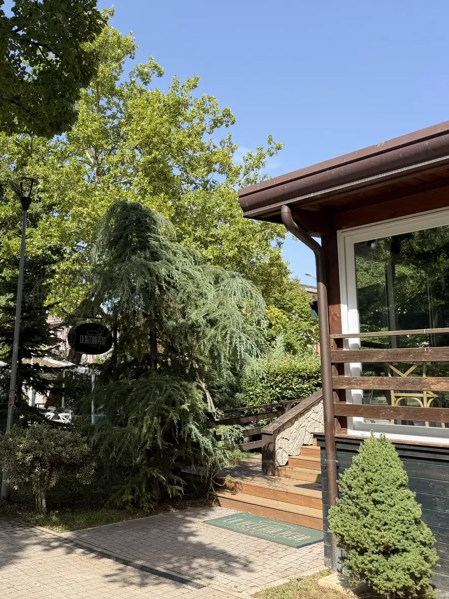 Il cedro davanti alla veranda de La Vecchia Pesa, con i gradini e lo zerbino d'ingresso, nel parco di Cassino